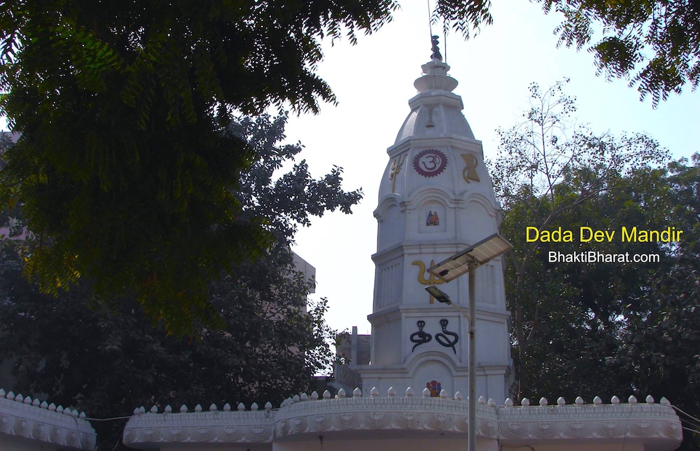 श्री दादा देव मंदिर () - Raj Nagar-II, Palam Colony Dwarka Sector New Delhi