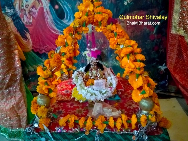 Dahi Handi Festival