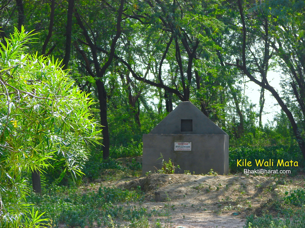 Greenery in  Kile Wali Mata