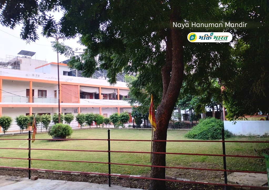 हरियाली भरा सुन्दर वातावरण