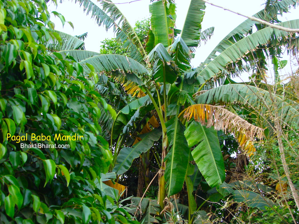 A famous eye surgeon Dr Dharmendra nath frequently visited this place and provide charitable treatment for poor and needful category of people.