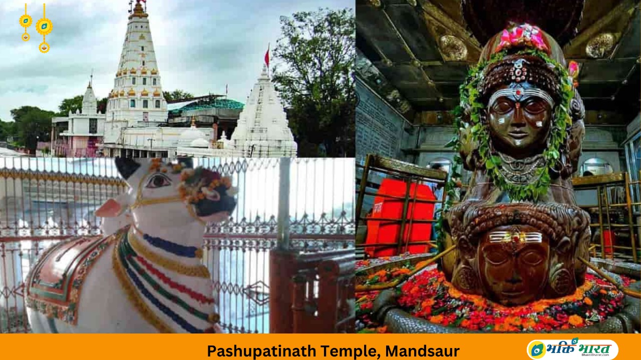 पशुपतिनाथ मंदिर मंदसौर () - Pashupatinath Mandir Road Mandsaur Madhya Pradesh 