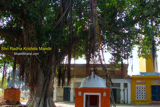 श्री राधा कृष्ण मंदिर, सैनावली () - Sainavali or Sehnaoli Sirsaganj Uttar Pradesh