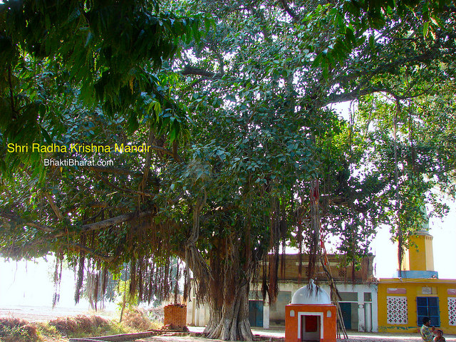 Shri Hanuman Ji Dham, Temple in full view.