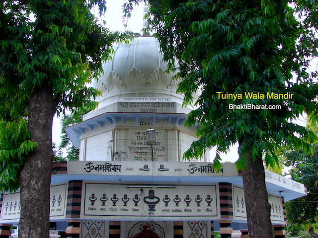 Front View of The Temple Along With Greenery.