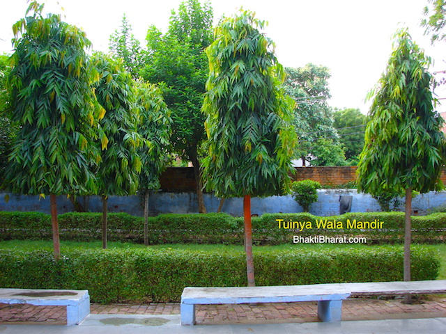 Right Sides Garden With Sitting Banches.