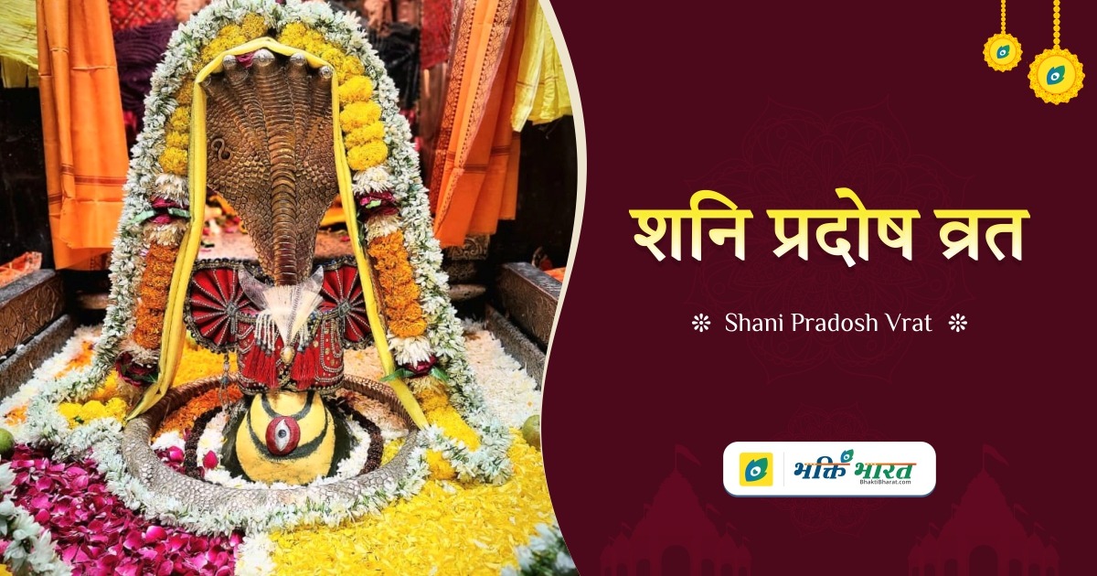 शनि प्रदोष व्रत